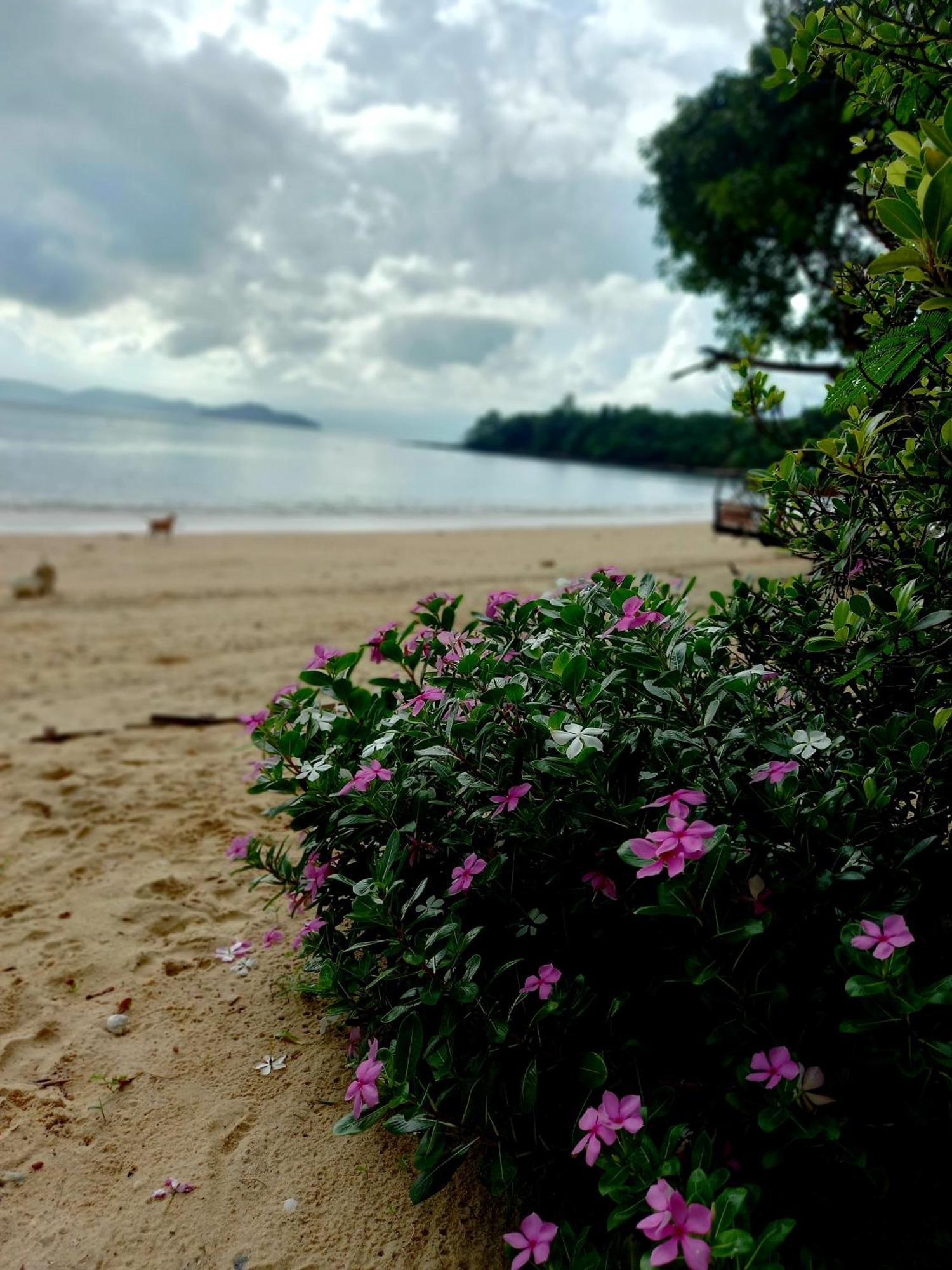 Sabai Sabai Beach Bungalows Koh Phayam Room photo